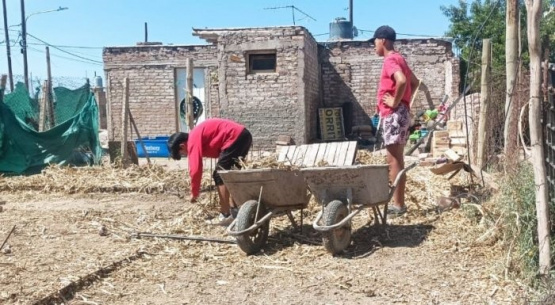 La Subsecretaría de Trabajo realizó operativos para detectar y sancionar el trabajo infantil