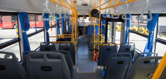 Guía de transporte para los actos centrales de la Vendimia 2024