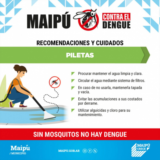 Mapú contra el dengue